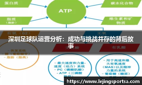深圳足球队运营分析：成功与挑战并存的背后故事